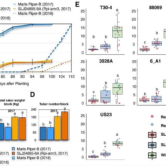 Figure from Lin et al (2022)