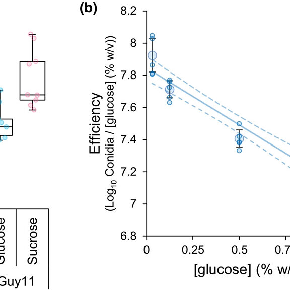 Figure from Lindsay et al (2023)
