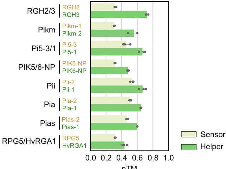 ar plot comparing sensor and helper predicted template modeling (pTM) scores in pentameric AF3 predictions