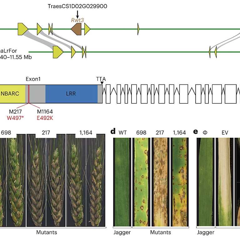 Figure from Arora et al (2023)
