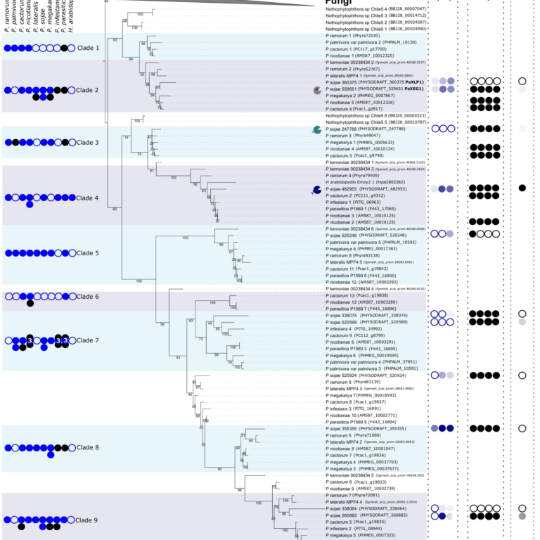 Figure from Attah et al (2023)