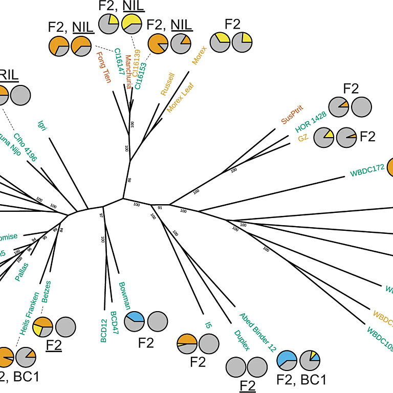 Figure from Bettgenhaeuser et al (2021)