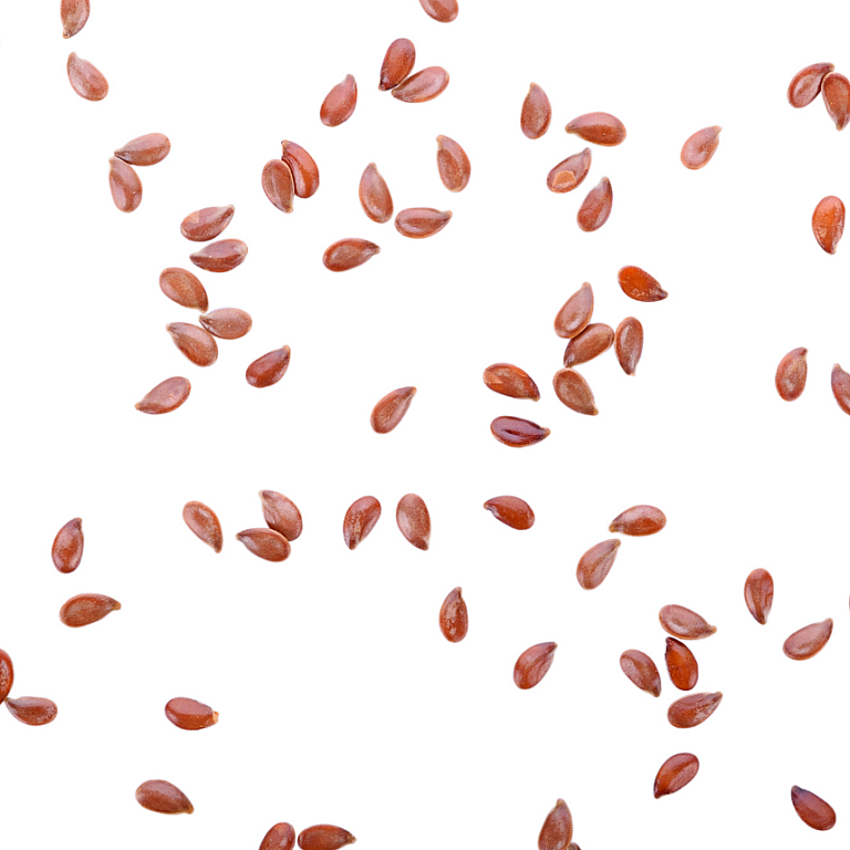 CZ article seeds