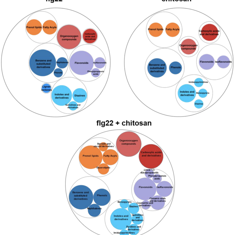 Figure from Cabre et al (2023)