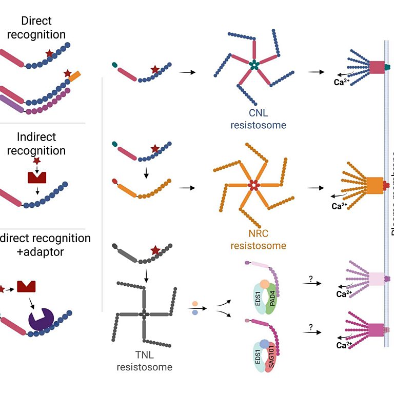 Guo etal 2026 Curr Opin Biotechnol
