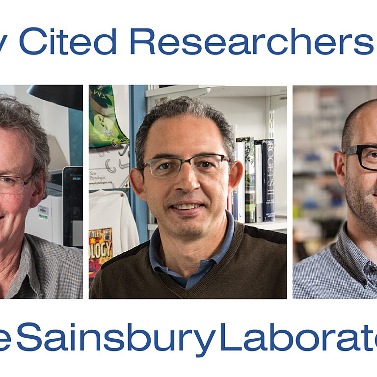 TSL Highly Cited Researchers 2020