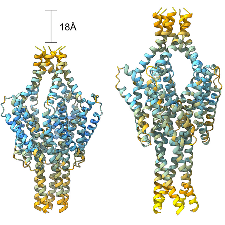 Ibrahim etal 2026 Science