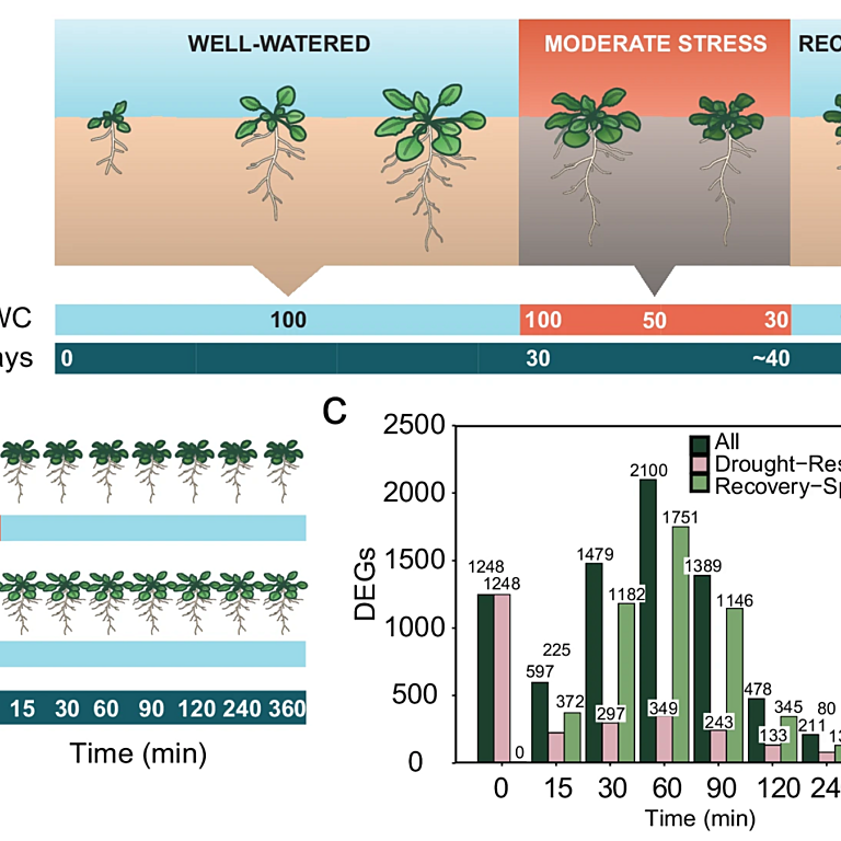 Illous Eliaz etxal 2025 Nat Plants