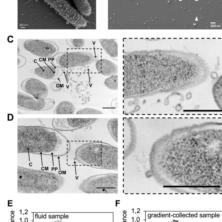 Figure from Janda et al (2023)