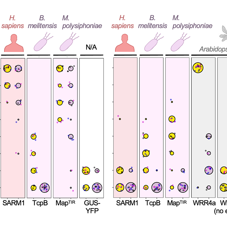 Kennedy etal 2026 biorxiv
