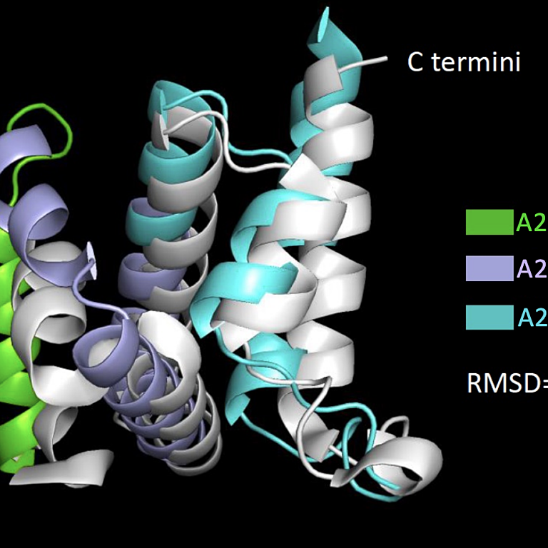 Figure from Kim et al (2023)