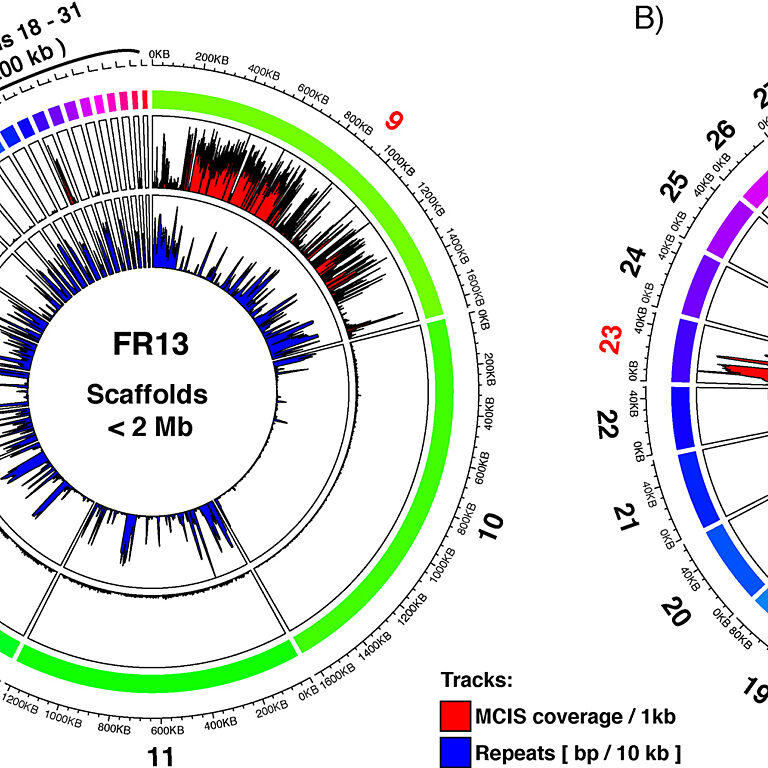 Figure from Langner et al (2021)