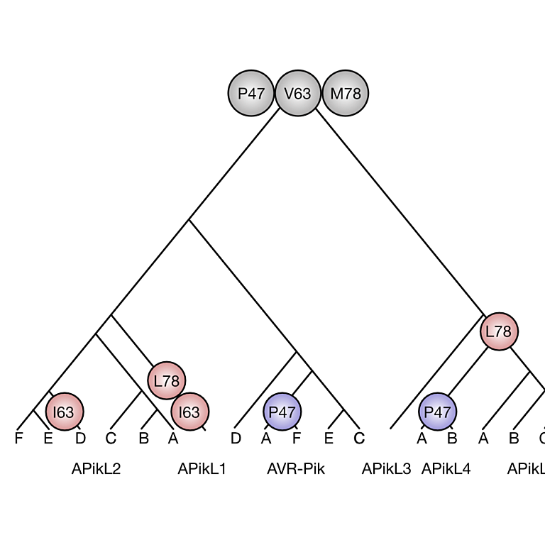 Langner etal 2026 Biol Lett