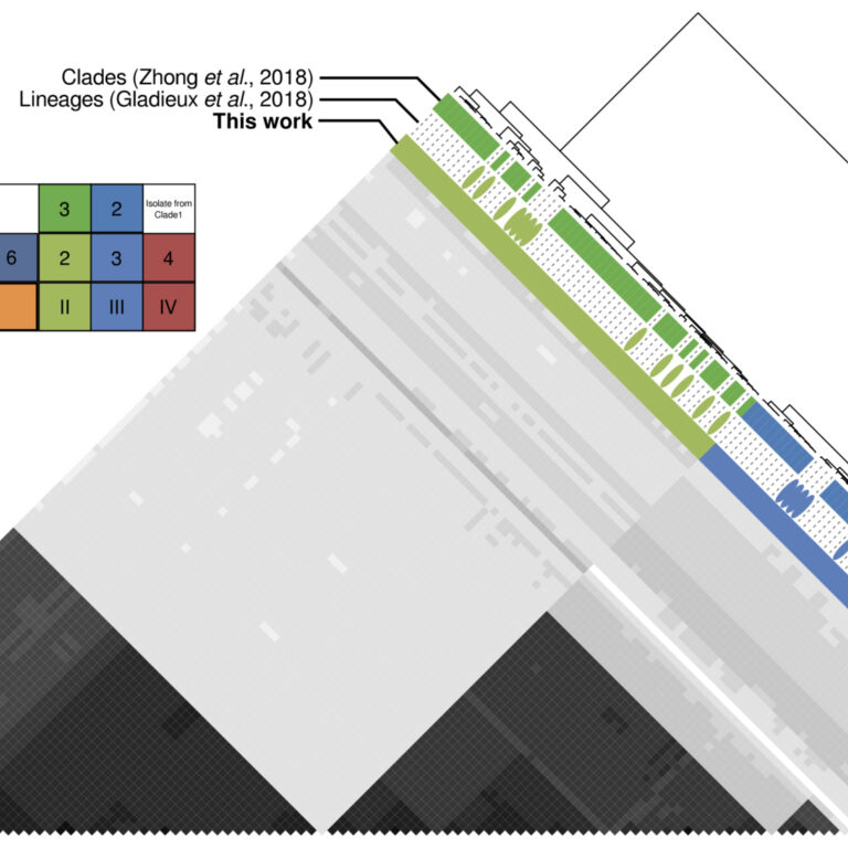 Figure taken from Latorre et al (2020)