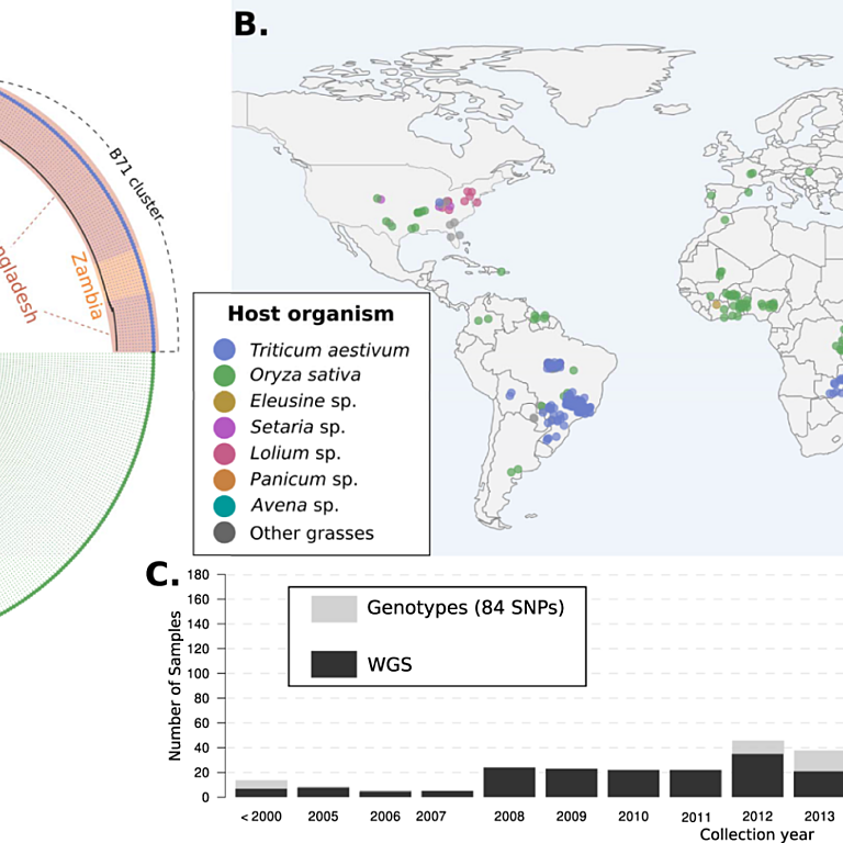 Figure from Latorre et al (2023)