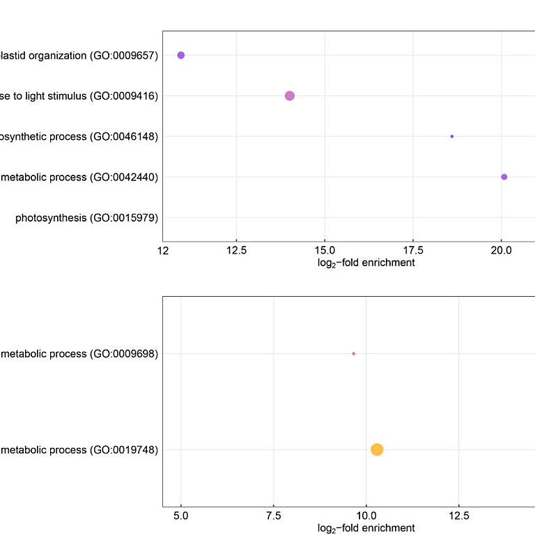 Figure from Li et al (2023)
