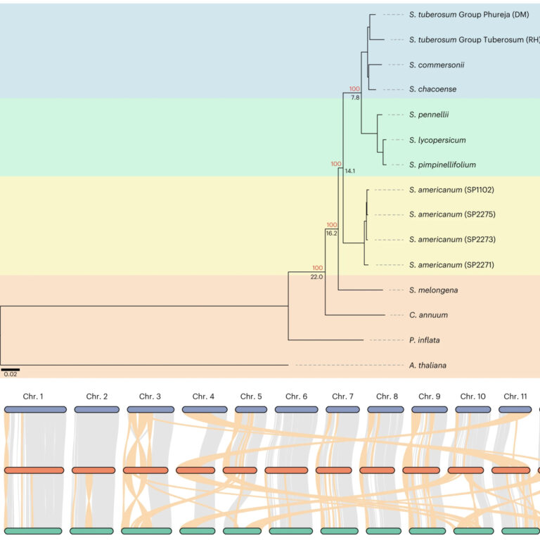 Figure from Lin et al (2023)