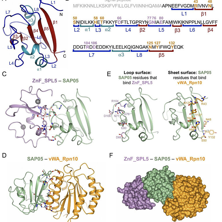 Figure from Liu et al (2023)