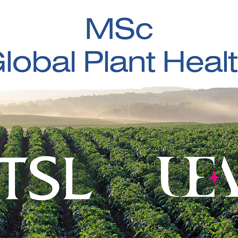MSc news headline