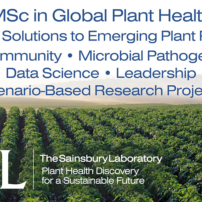 Advertising banner for MSc course in Global Plant Health