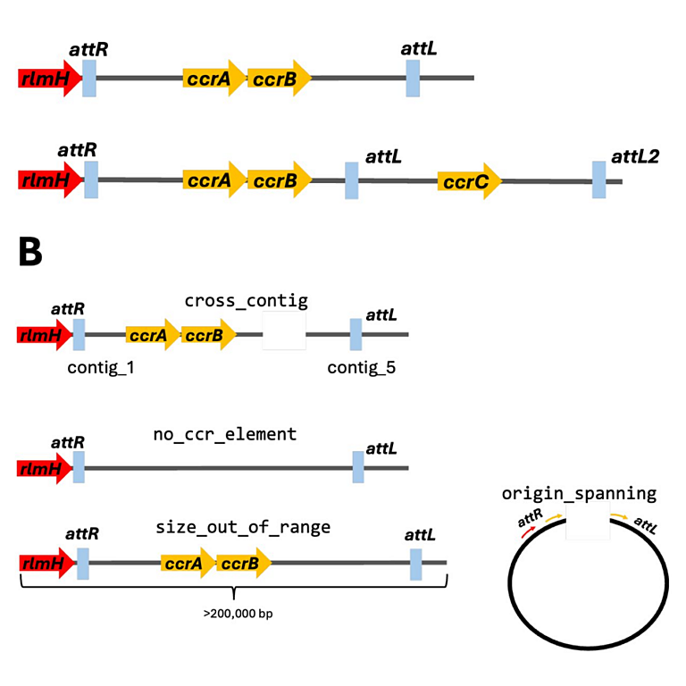 Mac Fadyen 2026 biorxiv