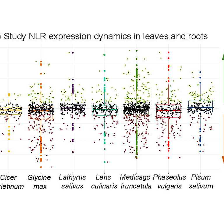 Marques etal 2026 biorxiv