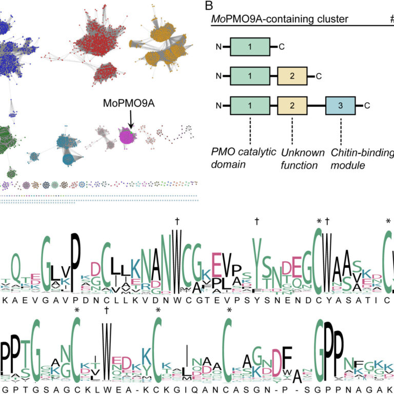 Figure from Martinez D Alto et al (2023)