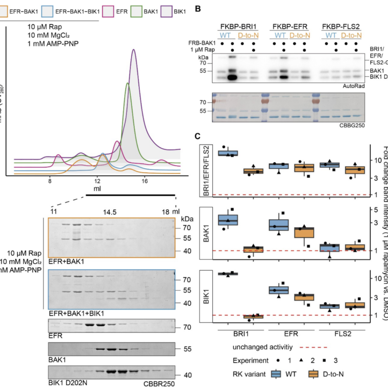 Figure from Muhlenbeck et al (2023)