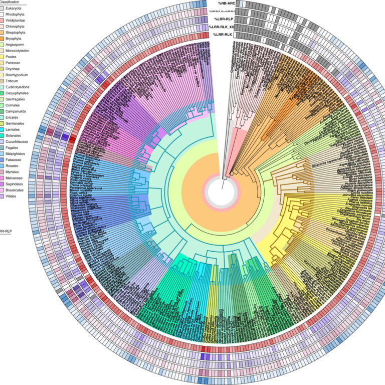 Figure from Ngou et al (2022)
