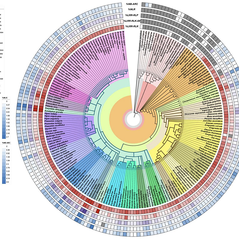 Figure from Ngou et al (2022)
