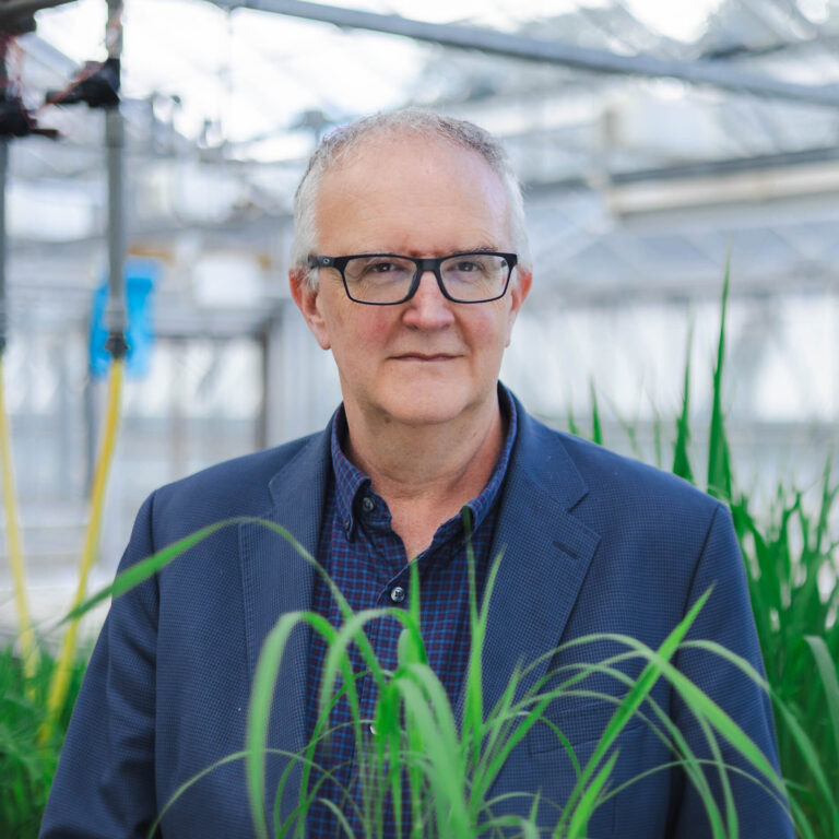 a photo of prof nick talbot in the greenhouse