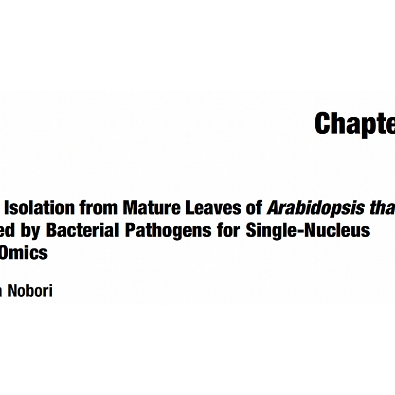 Nobori 2026 Methods Mol Biol