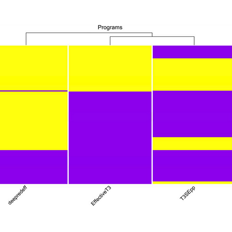 Odunlami Mac Lean 2025 biorxiv