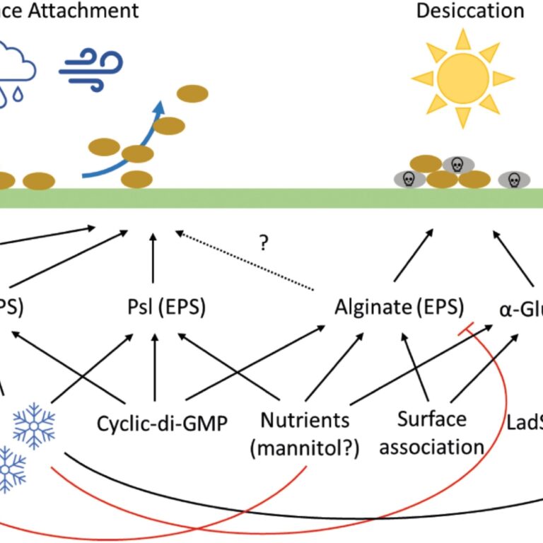 Figure from Pilla et al (2022)