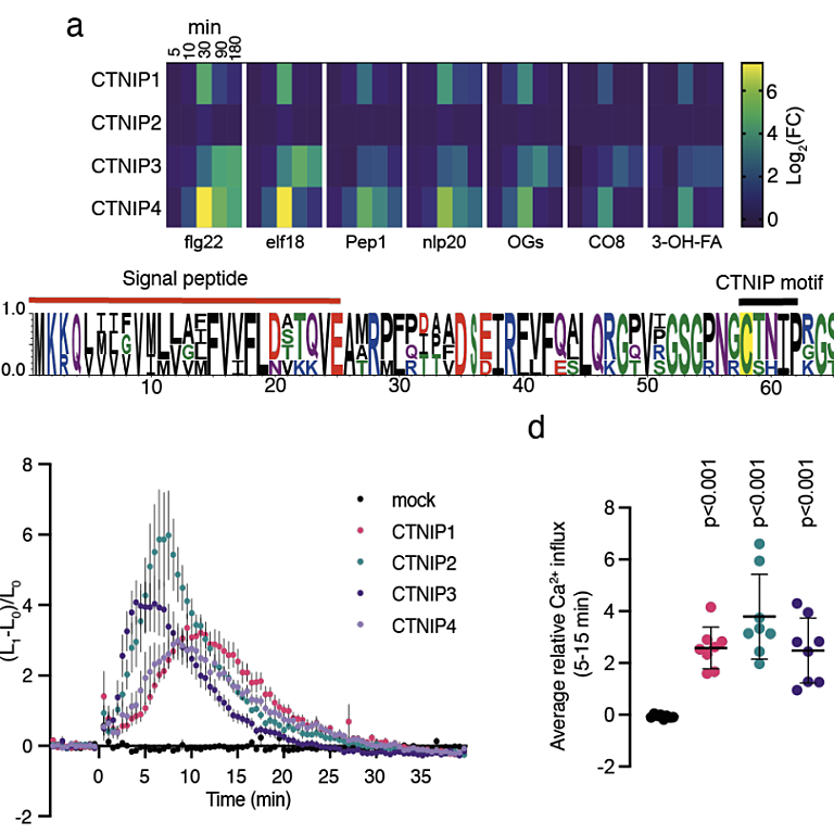 Figure from Rhodes et al (2021)