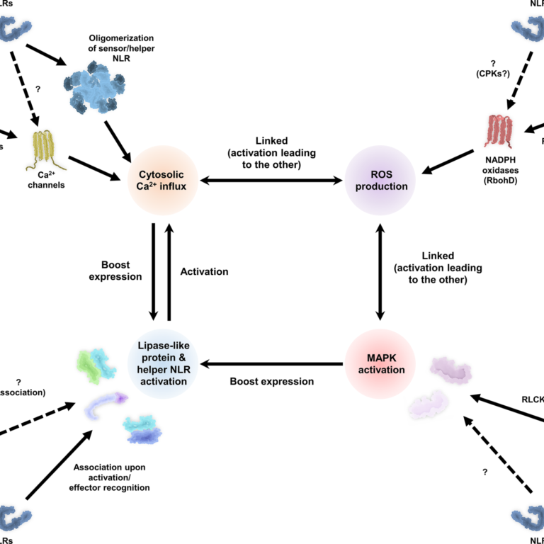 Figure from Rhodes et al (2022)