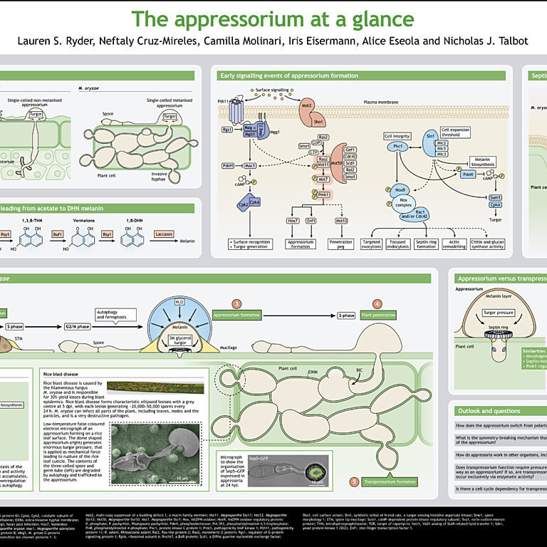 Ryder et al (2022) image of interactive poster