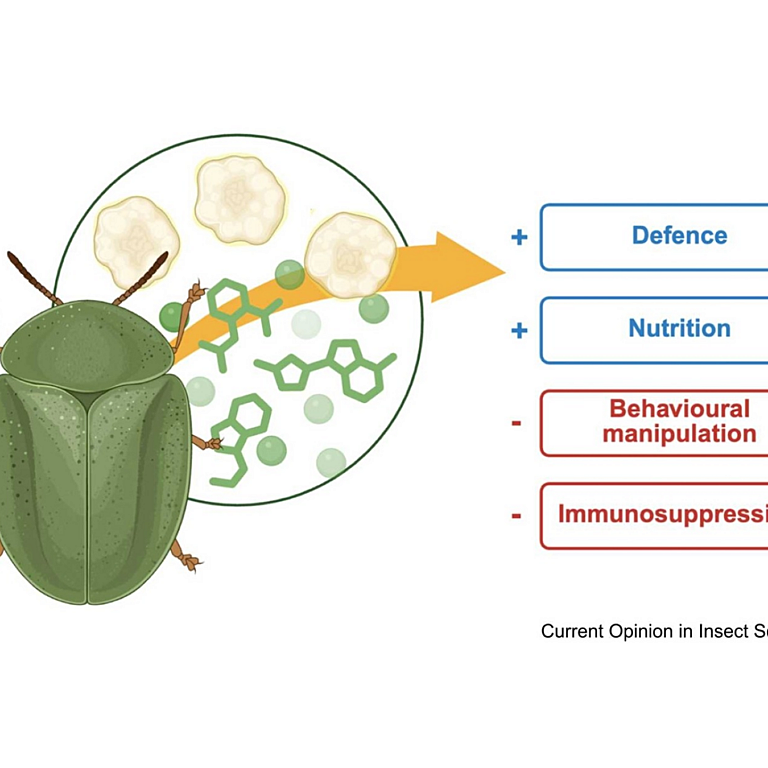 Shin etal 2026 Curr Opin Insect Sci