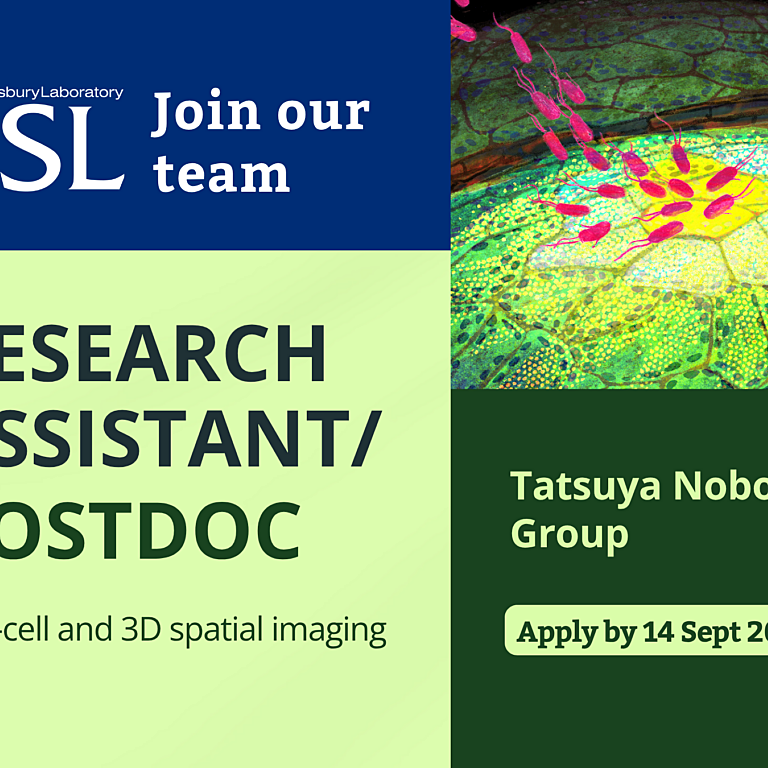 TN RA postdoc main website