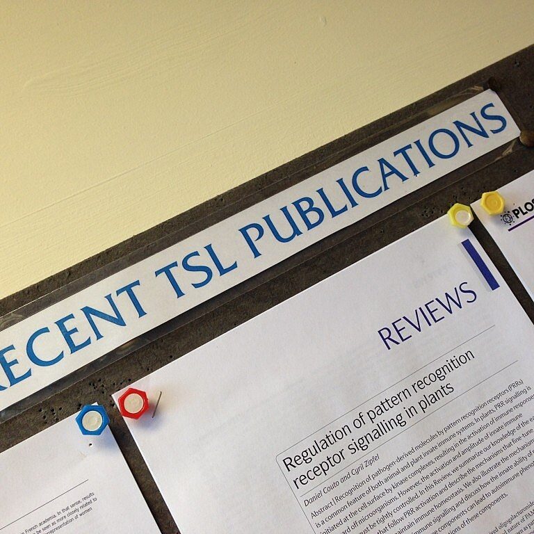 Generic image for TSL publications