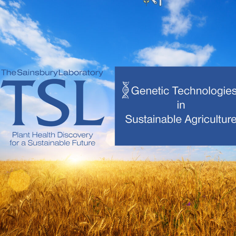 Graphic showing the TSL logo against a background of a wheat field with blue sky and sun.