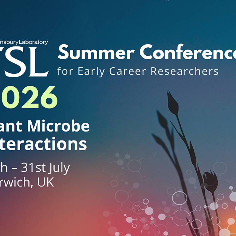 TSL summer conf 2026 thumbnail