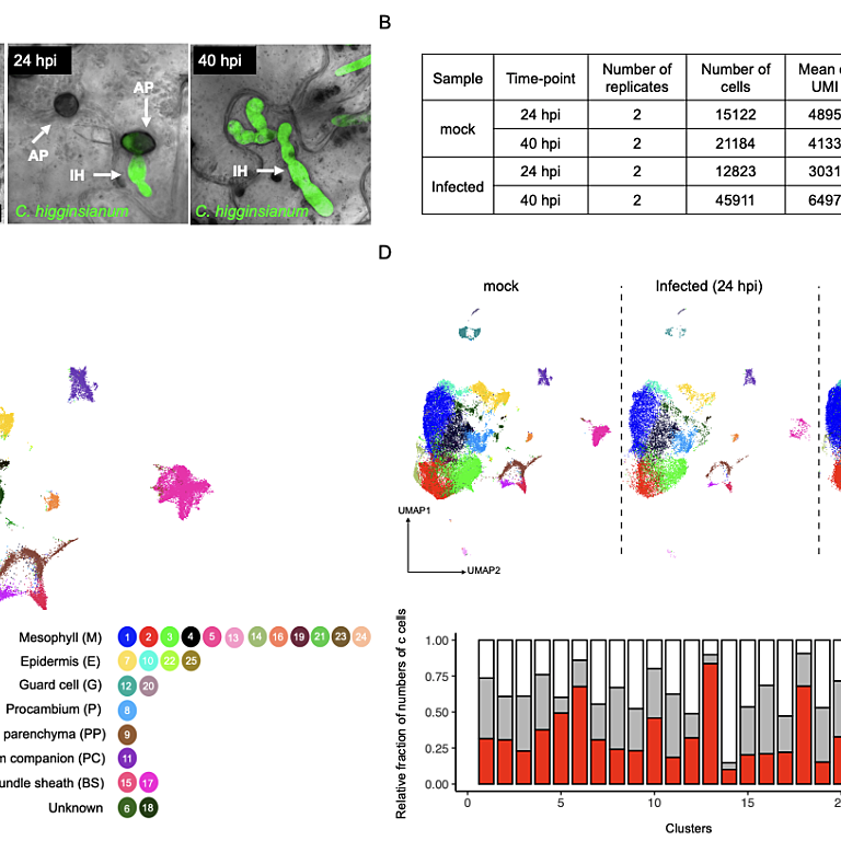 Figure from Tang et al (2023)