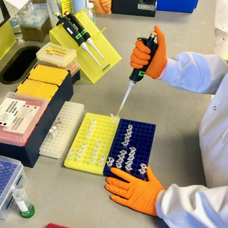 Photograph showing a technician pipetting at a bench