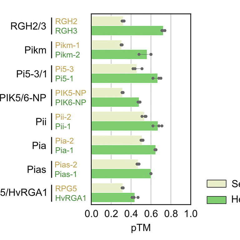 ar plot comparing sensor and helper predicted template modeling (pTM) scores in pentameric AF3 predictions