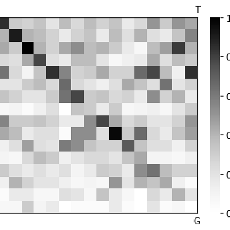 Figure from Veevers & MacLean (2023)