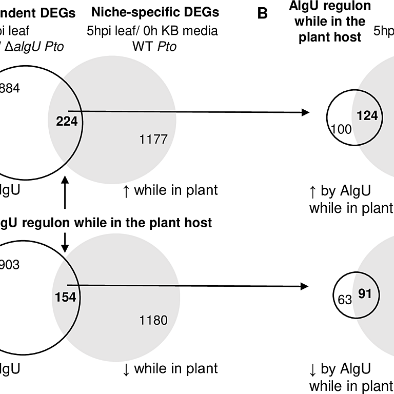 Figure from Wang et al (2022)