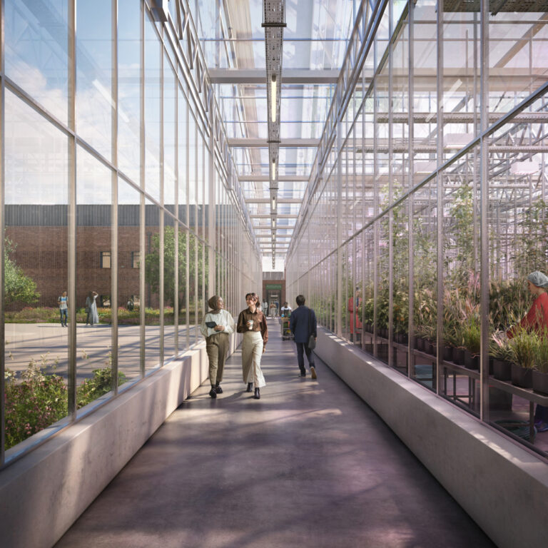Wolfson announcement photo Glasshouse corridor