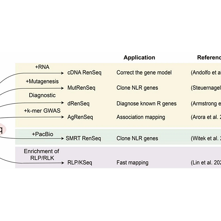 Wu etal 2026 Methods Mol Biol