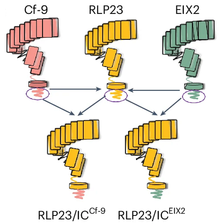 Yang et al 2025 Nat Biotechnol